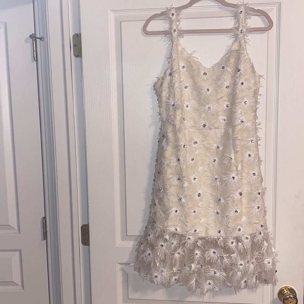 Feather Embellished Dress